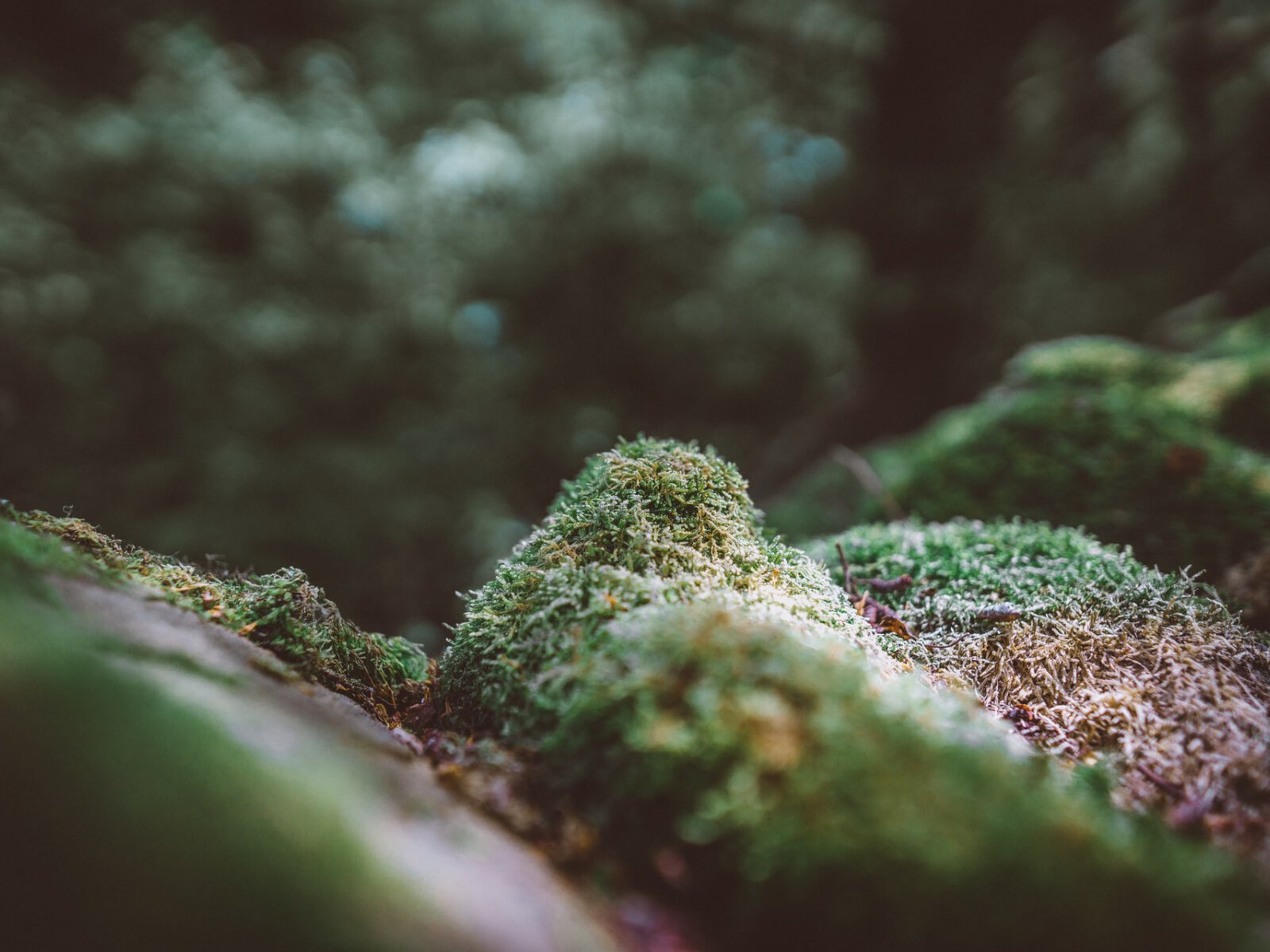 Joshua-newton-mr1edrd0qsi-unsplash